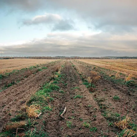 度假居 4 Star In *