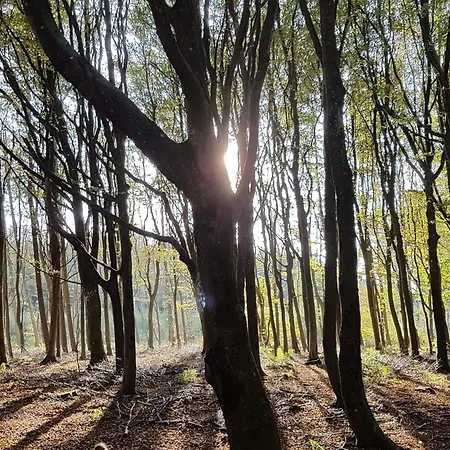 4 Star In 度假居 *