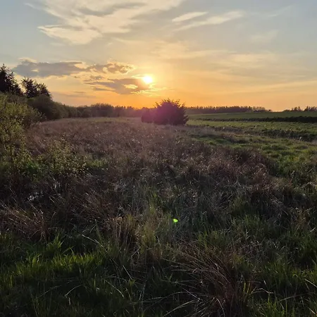 4 Star In 度假居 *