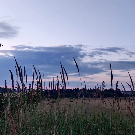 度假居 4 Star In *