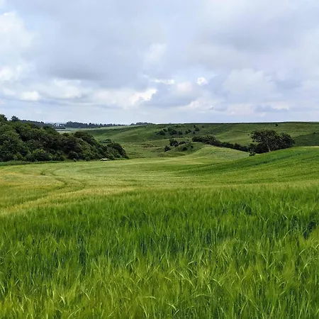 4 Star In 度假居 *