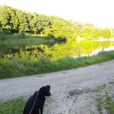 Hébergement de vacances 4 Star In