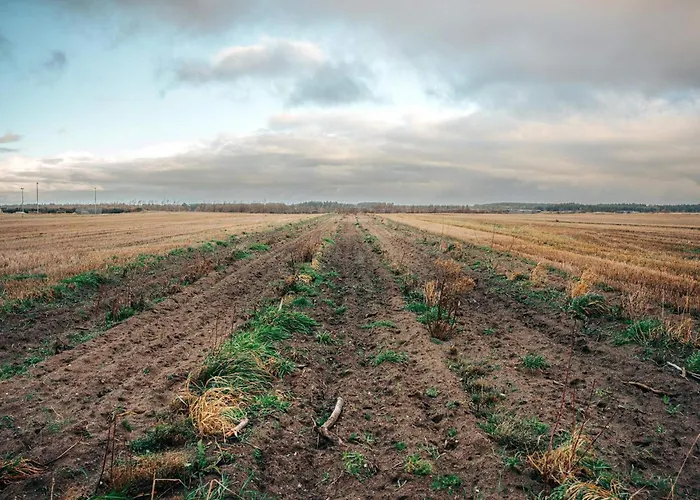 Hébergement de vacances 4 Star In *
