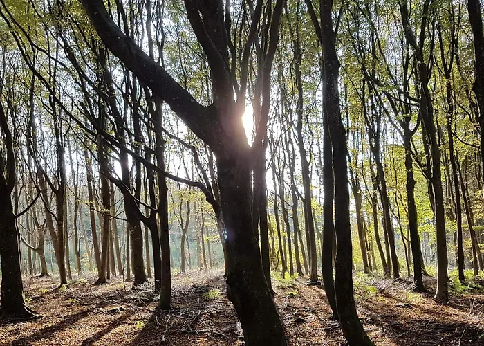 4 Star In Hébergement de vacances *