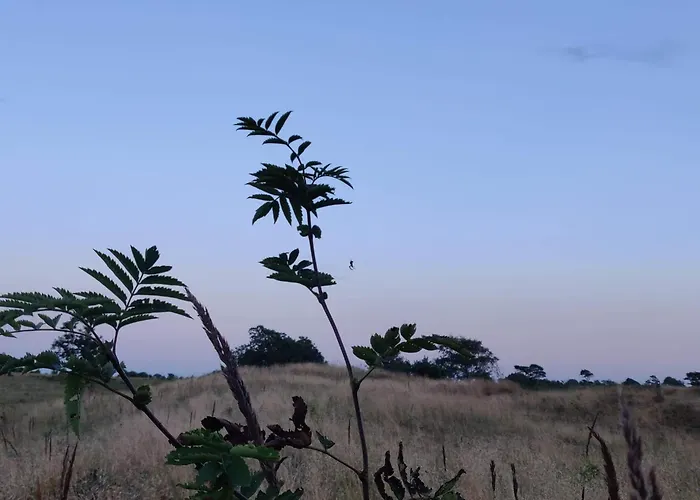 Hébergement de vacances 4 Star In