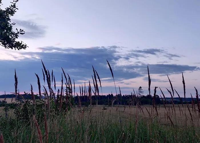 Hébergement de vacances 4 Star In *