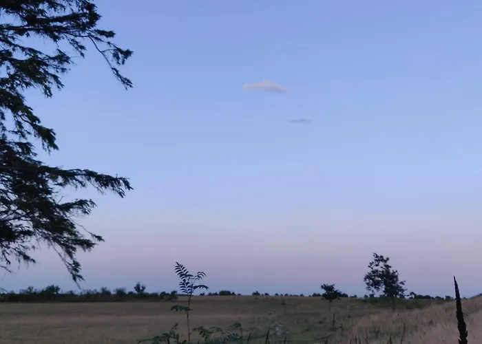 Hébergement de vacances 4 Star In *