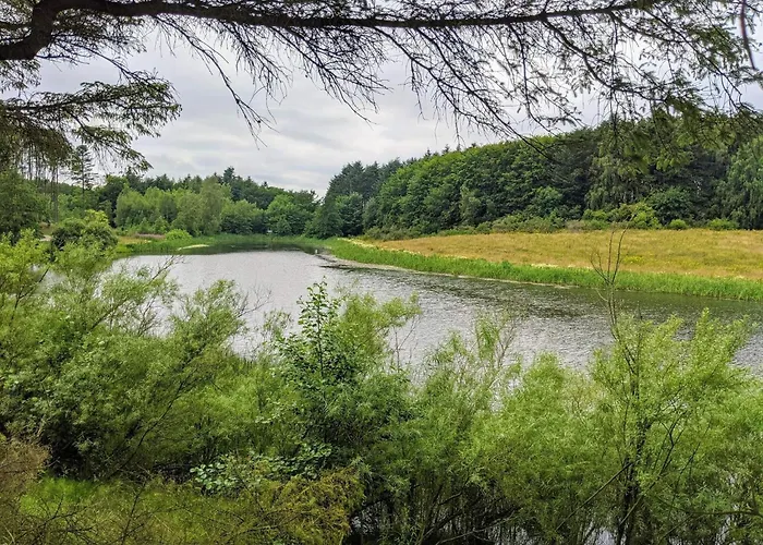 Hébergement de vacances 4 Star In