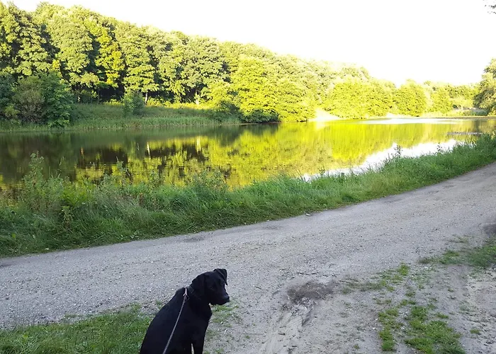 Hébergement de vacances 4 Star In